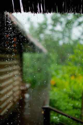 唯美的雨滴摄影图片高清手机壁纸