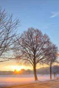 唯美夕阳下的雪景高清手机壁纸