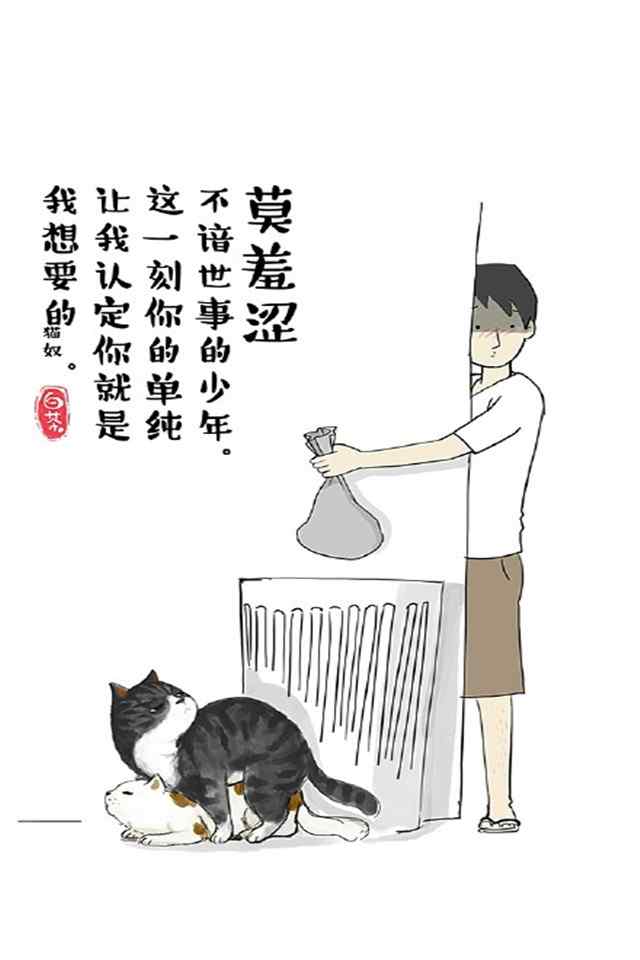 可爱铲屎猫大白高清手机壁纸高清高清手机壁纸下载