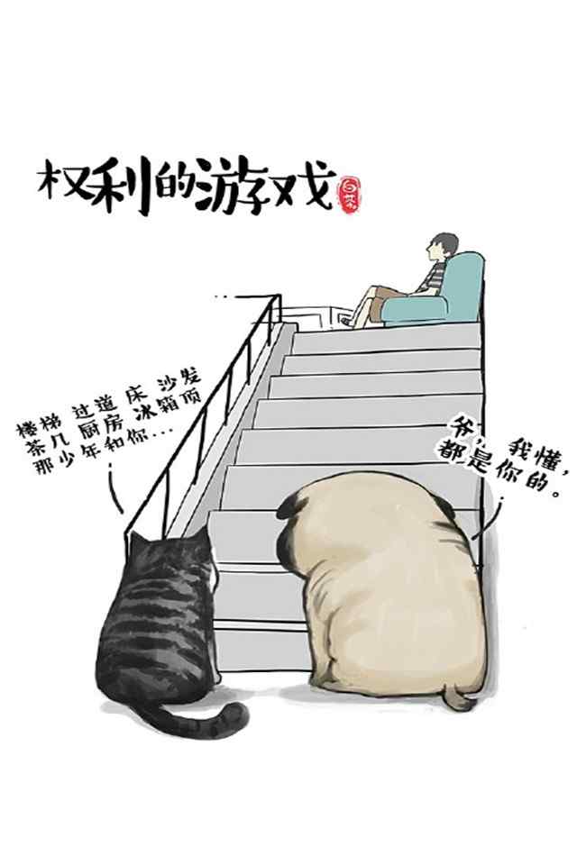 可爱铲屎猫大白高清手机壁纸高清高清手机壁纸下载