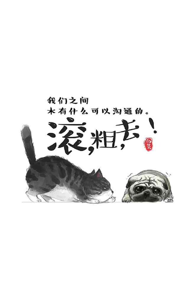 可爱铲屎猫大白高清手机壁纸高清高清手机壁纸下载