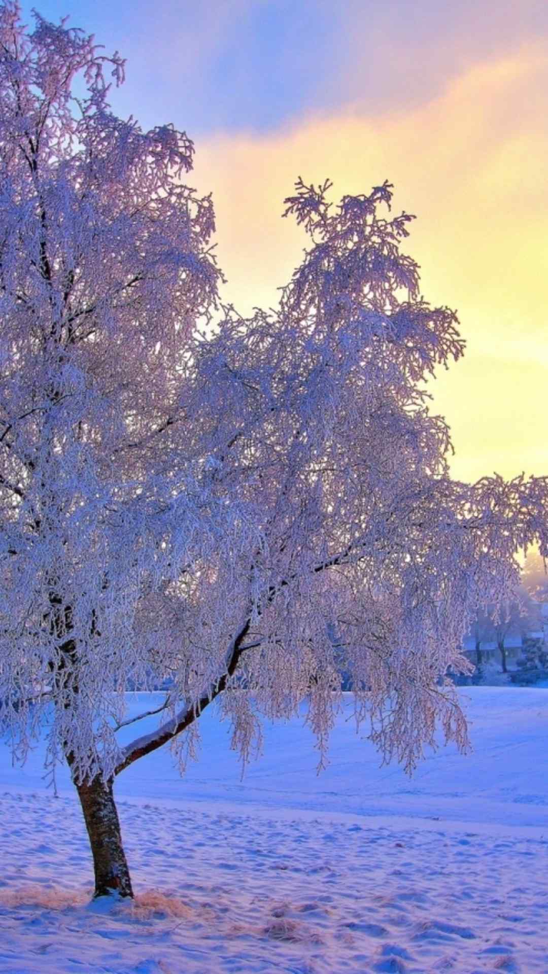 唯美夕阳下的雪景高清手机壁纸