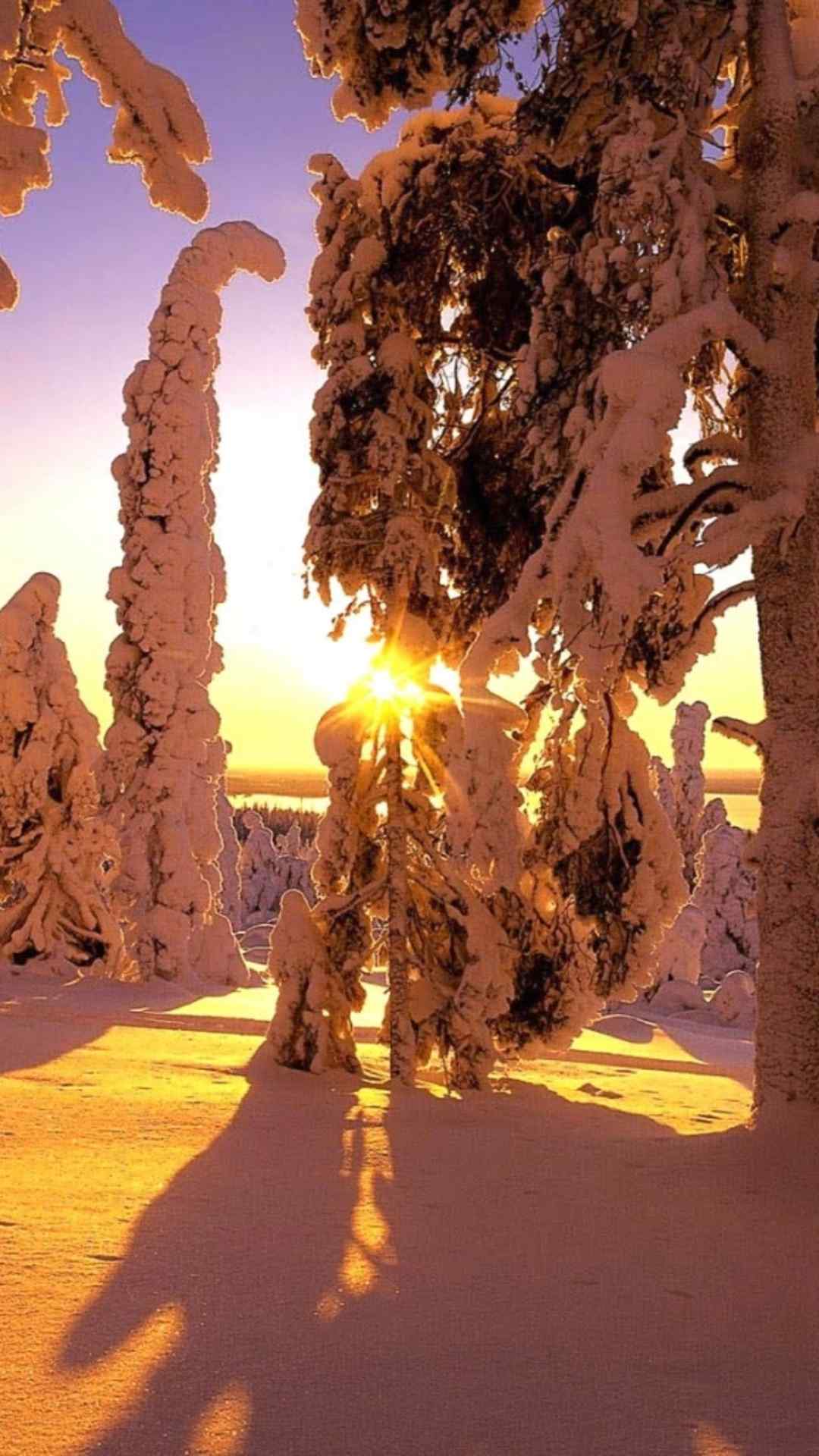 唯美夕阳下的雪景高清手机壁纸