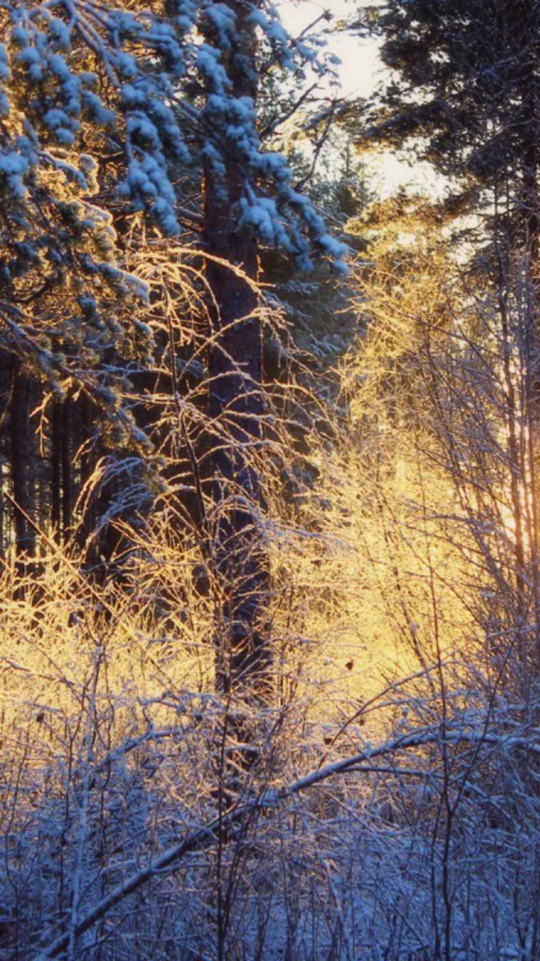 唯美夕阳下的雪景高清手机壁纸