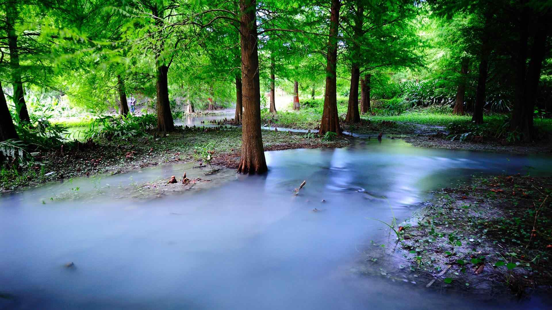 大自然奇幻美景高清电脑桌面壁纸 第三辑