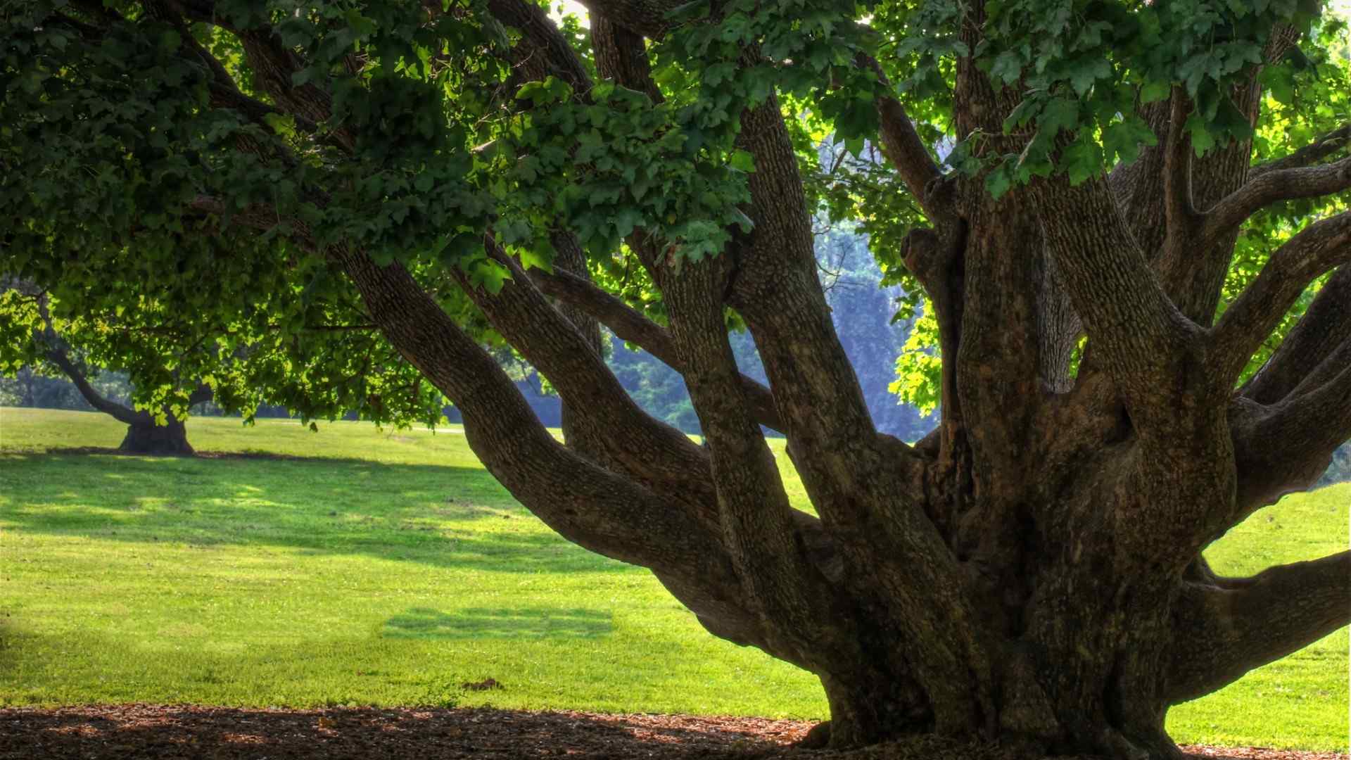 美丽的自然风景桌面壁纸下载