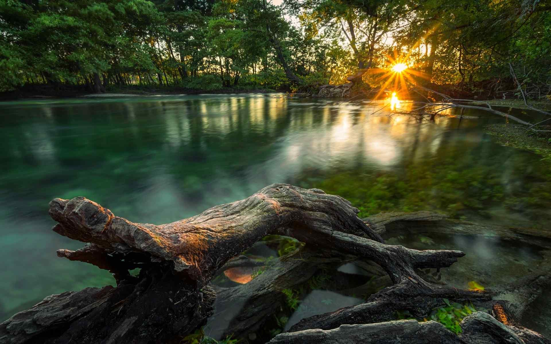 绿色舒适自然风景电脑桌面壁纸