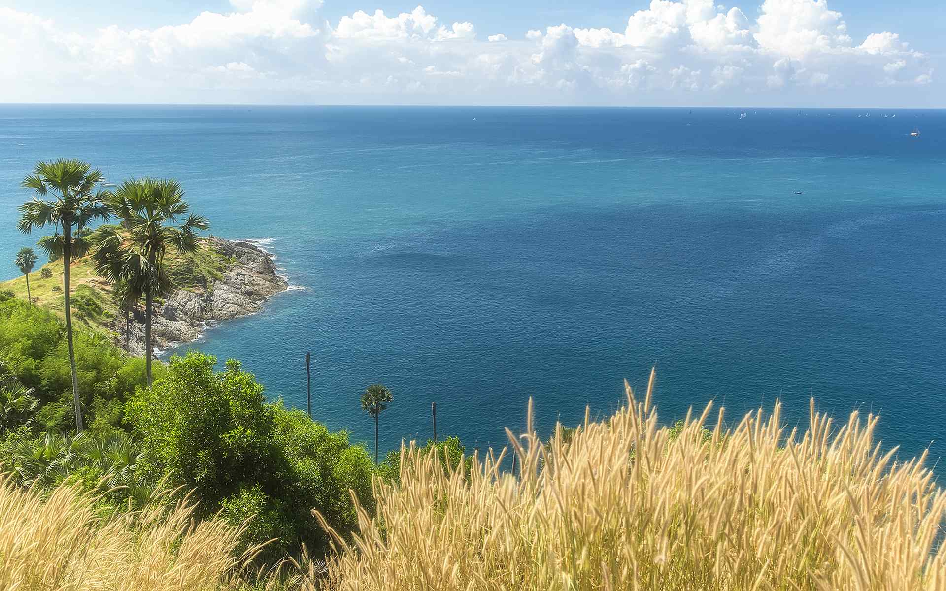 普吉岛自然清新风景壁纸图片