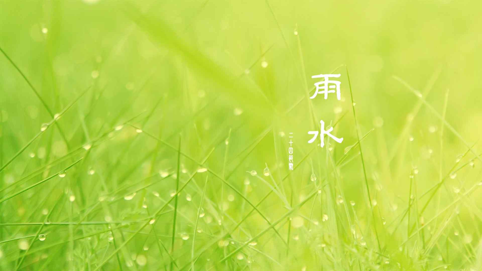 雨水节气风景电脑桌面壁纸(二)