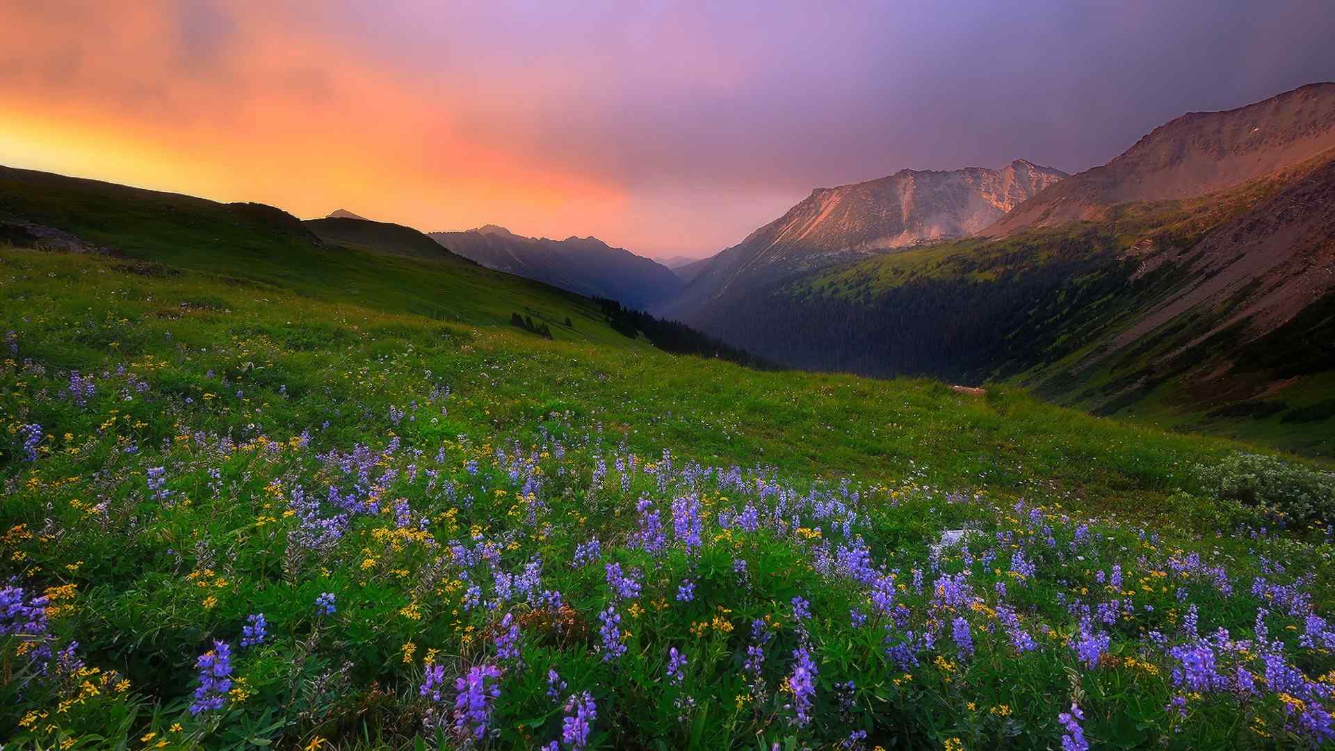 夕阳晚霞自然风景电脑桌面壁纸