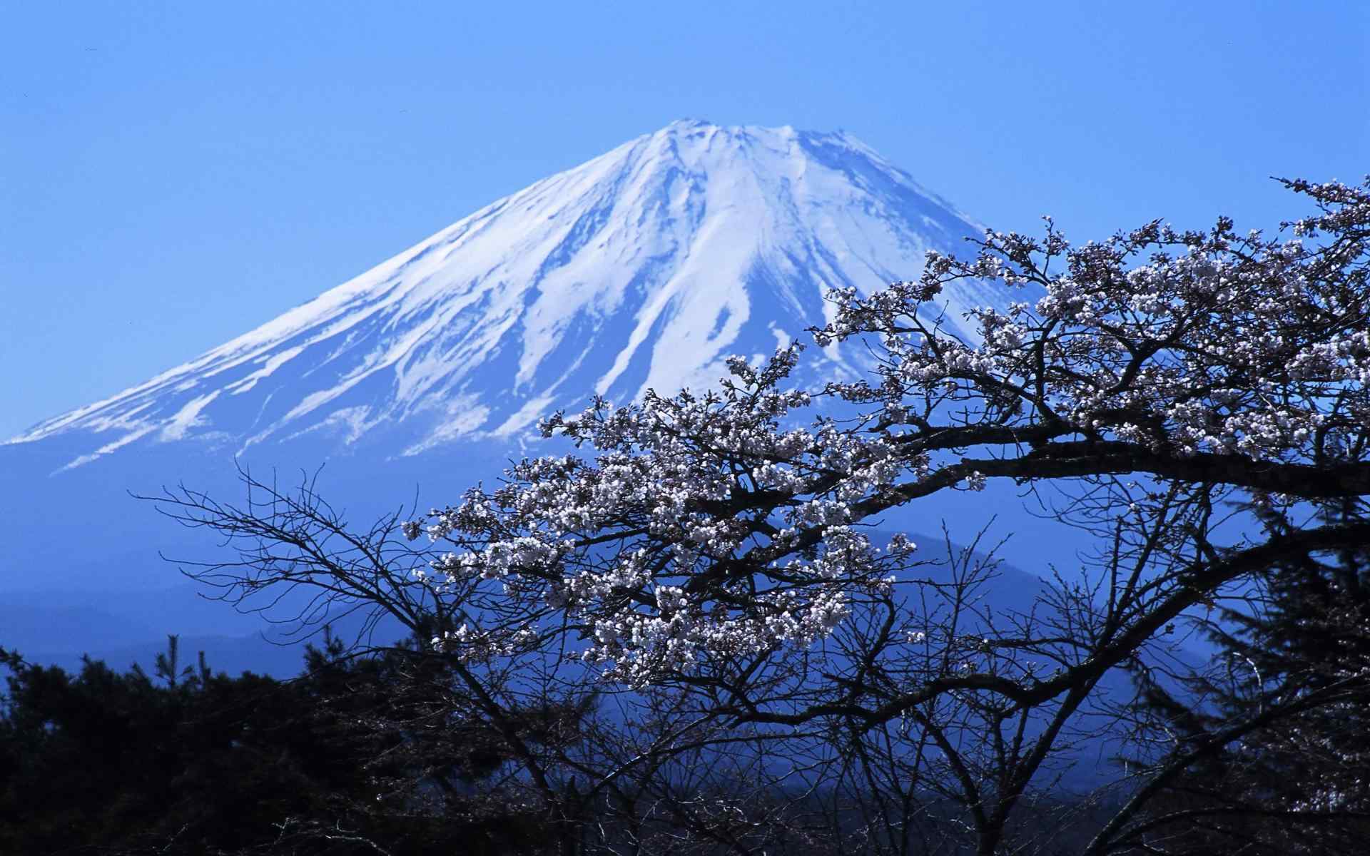 唯美富士山近景高清风景桌面壁纸