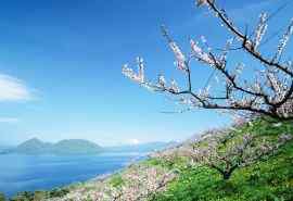 美丽清新的北海道风景摄影壁纸图片