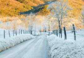 唯美的冬日雪景桌面壁纸图片下载