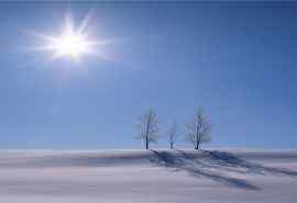 冬天雪景树木高清电脑桌面壁纸